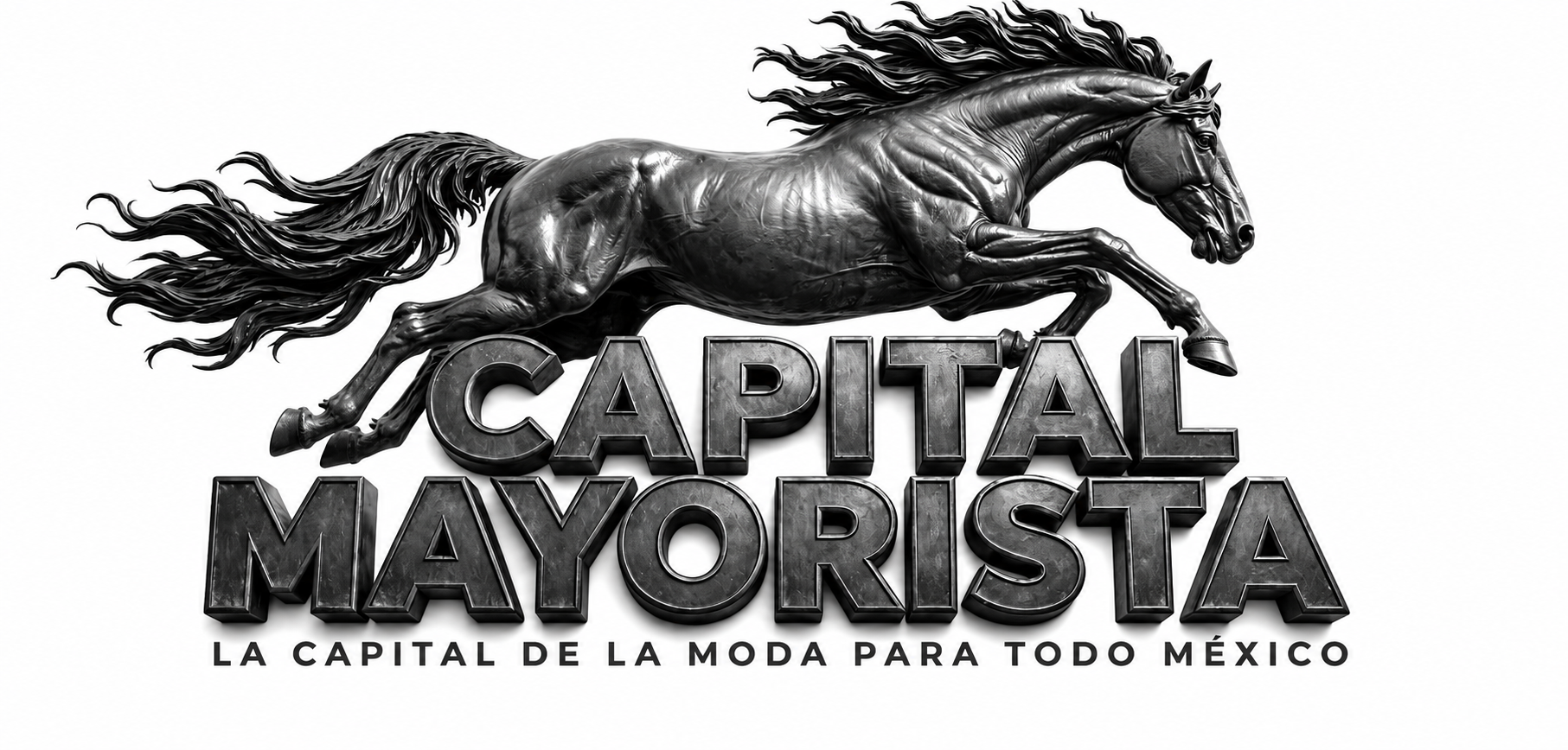 Logo de CAPITAL MAYORISTA